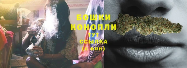 стаф Семилуки