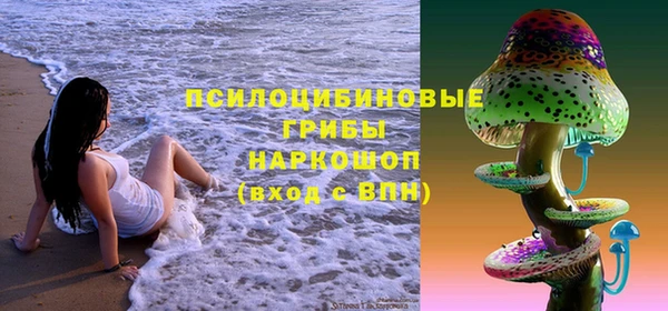 крисы Лабытнанги