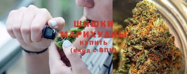 крисы Лабытнанги