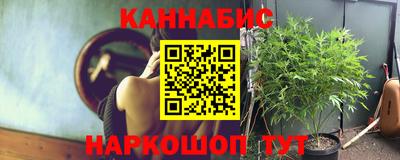 индика Кимры