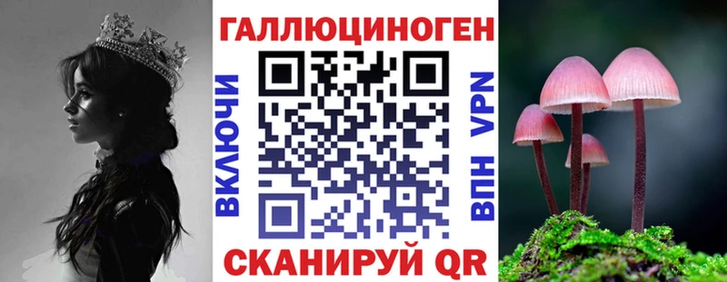 Псилоцибиновые грибы прущие грибы  магазин продажи   Красный Сулин 