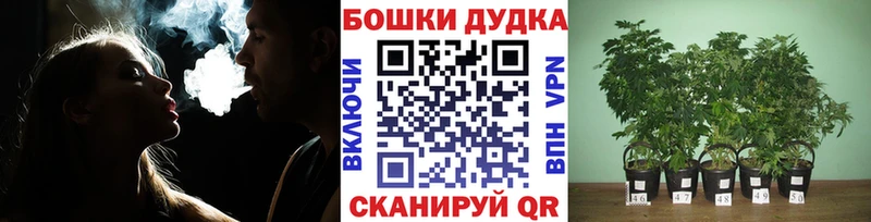 наркотики  Красный Сулин  Марихуана конопля 